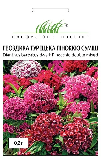 Гвоздика турецька Піноккіо 0,2 г суміш, Hем Zaden