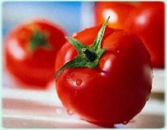 Томат Ляна весовой для переработки кустовой ранний - Фото 2