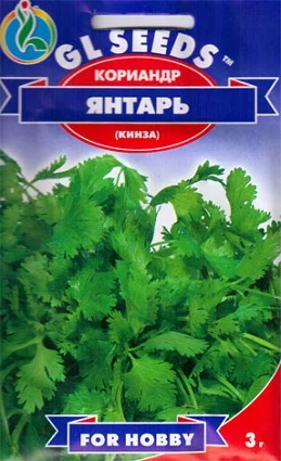 Коріандр (кінза) Бурштин 4 г, ТМ GL Seeds