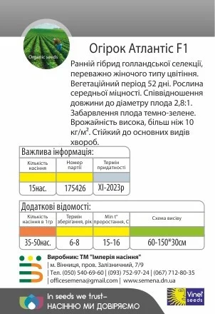 Огірок Атлантіс F1 15 насіння бджолозапильний ранній, Vinel' Seeds - Фото 2