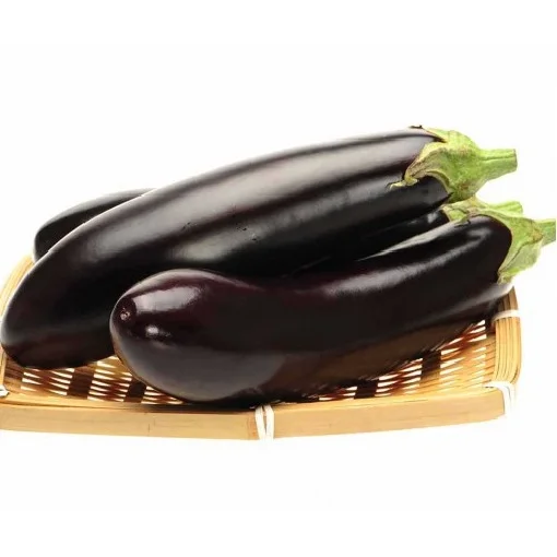 Баклажан Найт Леди F1 1000 семян среднеранний, United Genetics - Фото 2