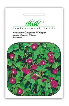 Іпомея Скарлет О'Хара 1 г, Hем Zaden - Фото 2