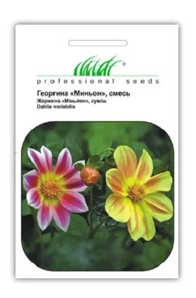 Жоржина Міньйон 0,2 г суміш, Hем Zaden