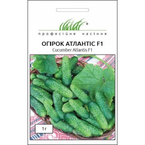 Огірок Атлантіс F1 50 шт, Bejo Zaden - Фото 2