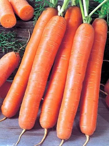 Морковь Роял Форто 1 кг среднеспелая, Seminis