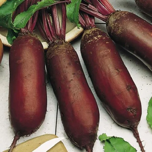 Буряк Циліндра 250 г столовий середньостиглий, ТМ Вітас - Фото 2