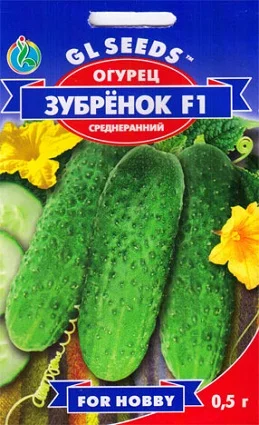 Огурец Зубренок F1 0,5 г пчелоопыляемый среднеранний,ТМ GL Seeds