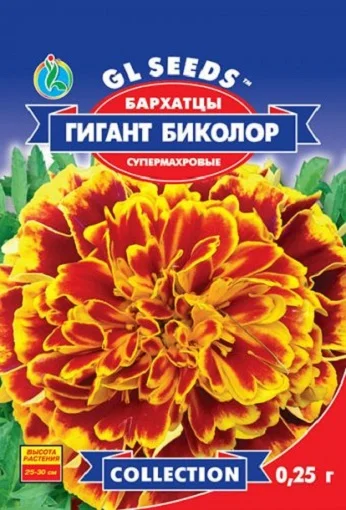 Бархатцы Гигант биколор 0,25 г супермахровые, ТМ GL Seeds