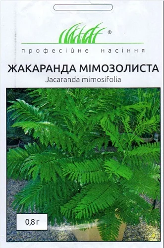 Жакаранда мимозолистная 0,8 г, Hем Zaden