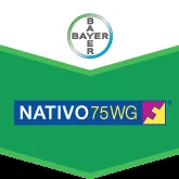Нативо 2 кг фунгіцид системної дії, Bayer - Фото 2