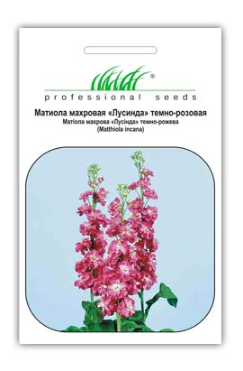 Маттіола махрова (лівкою) Лусінда