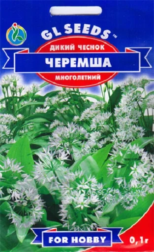 Черемша (дикий чеснок) многолетняя 0,1 г, ТМ GL Seeds