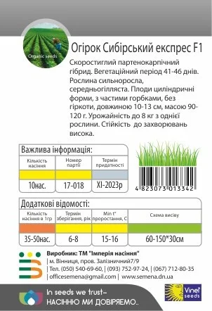 Огурец Сибирский экспресс F1 10 семян партенокарпический ранний, Vinel' Seeds - Фото 2