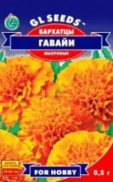 Бархатцы махровые Гавайи 0,5 г оранжевые, ТМ GL Seeds - Фото 2