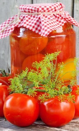 Томат Уно Россо F1 10 насіння для маринування, Unigen Seeds - Фото 2