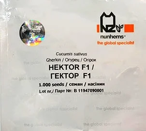 Огірок Гектор F1 1000 насіння бджолозапильний ультраранній, Nunhems Zaden - Фото 2