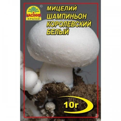 Мицелий Шампиньон королевский белый 10 г, Насіння Країни - Фото 2