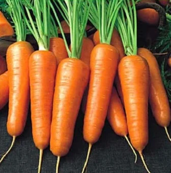 Морква Роял Шансон 1 кг рання, Seminis