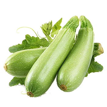 Кабачок Іскандер F1 500 насінин кущовий ранній, Semenis - Фото 2