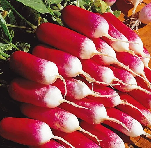 Редис 18 днів 500 г ранній, ТМ Вітас - Фото 3