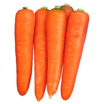 Морковь Курода 500 г ранняя, Lark Seeds - Фото 2