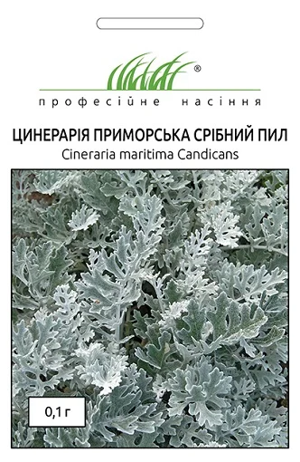 Цинерария приморская Серебряная пыль 0,1 г, Hем Zaden