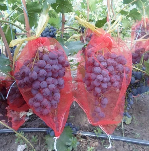 Сетка для защиты винограда красная, 5 кг, 50 шт в упаковке - Фото 4