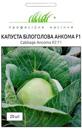 Капуста Анкома F1  20 семян белокочанная поздняя, Rijk Zvaan - Фото 2