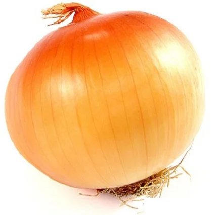 Цибуля Екстра Ерлі голд F1 10000 насінин ріпчастий озимий ранній, Unigen Seeds - Фото 4