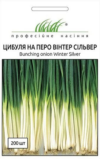Лук Винтер Сильвер 0,5 г семян на перо среднеспелый, Nong Woo Bio