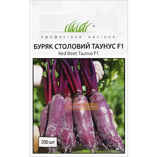 Буряк Таунус F1 200 насінин пізній, Bejo Zaden - Фото 3