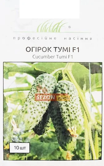 Огірок Тумі F1 10 партенокарпічний насіння ранній, Enza Zaden - Фото 2