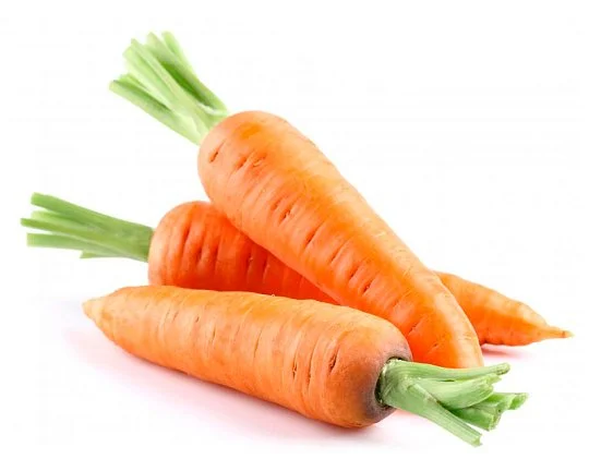 Морковь Канада F1 25000 семян (1,8-2,0 мм) поздняя, Bejo Zaden