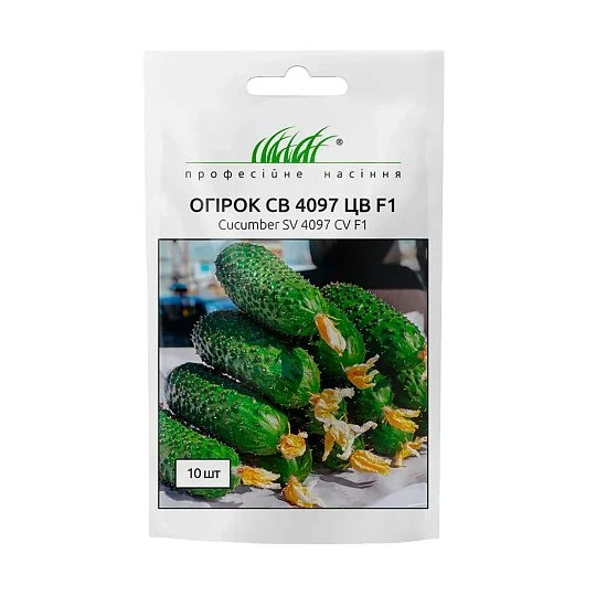 Огурец SV 4097 ЦВ F1 самоопыляемый 10 семян, Seminis