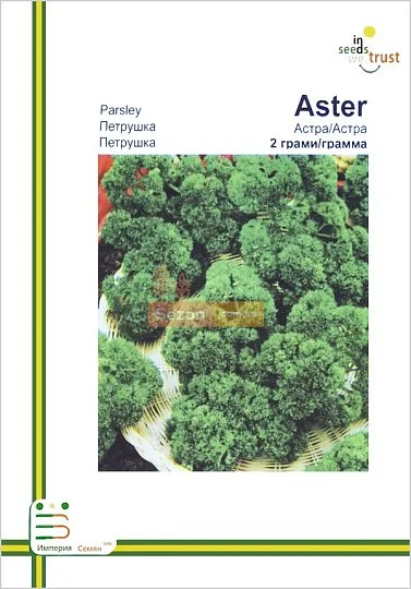 Петрушка Астра кудрявая ранняя 2 г европакет, Империя Семян - Фото 2