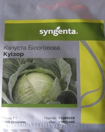 Капуста Куизор F1 2500 семян белокочанная среднеранняя, Syngenta