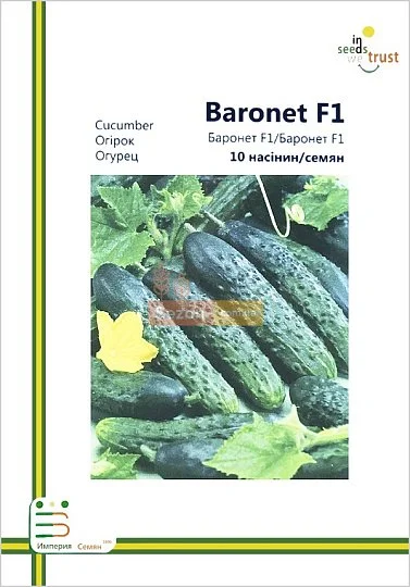 Огурец Баронет F1 партенокарпический ранний 10 семян европакет, Nong Woo Bio - Фото 2