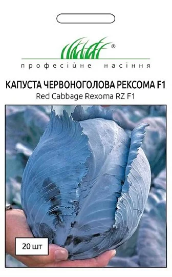 Капуста Рексома F1 20 семян краснокочанная поздняя, Rijk Zwaan - Фото 2