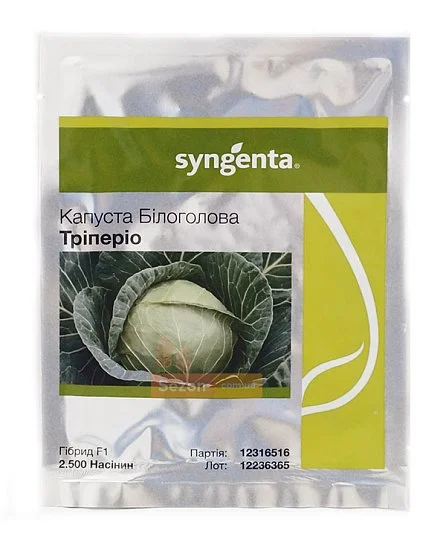 Капуста Триперио F1 2500 семян белокочанная среднеспелая, Syngenta - Фото 2