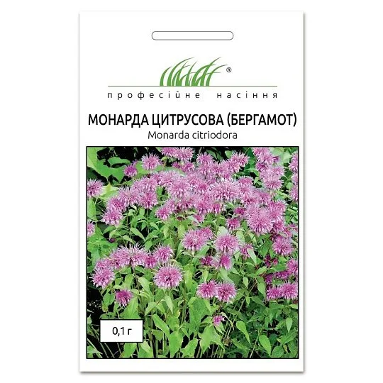 Монарда Бергамот 0,1 г, Hем Zaden