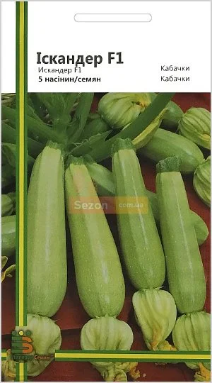 Кабачок Іскандер F1 5 насіння кущовий ультраранній, Імперія Насіння - Фото 2