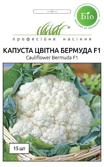 Капуста Бермуда F1 15 насіння кольорова пізня, Wing Seed
