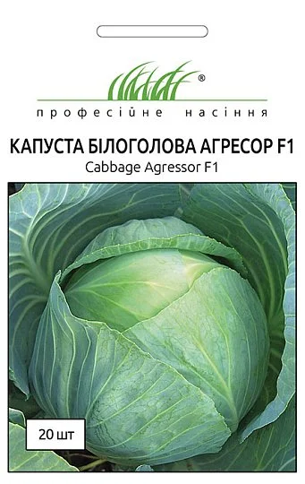 Капуста Агресор F1 20 насіння білокачанна пізня Syngenta - Фото 2
