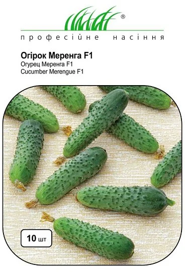 Огурец Меренга F1 10 семян партенокарпический ультраранний, Seminis