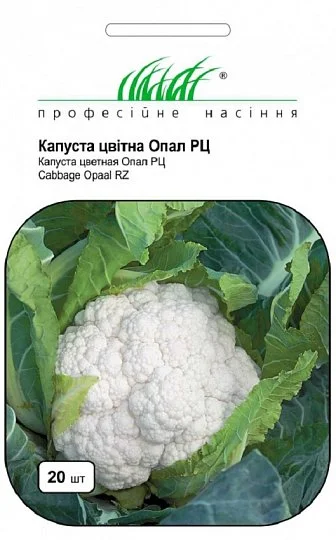 Капуста Опал 20 насіння кольорова рання, Rijk Zvaan - Фото 2