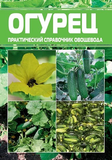 Огурец: практический справочник овощевода