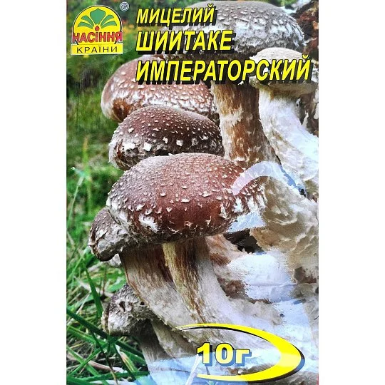 Міцелій Шіїтаке 10 г, Насіння України - Фото 2