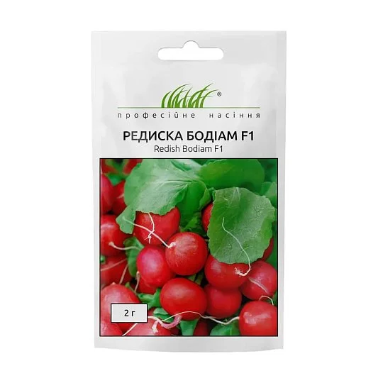 Редиска Бодіам F1 2 г, Rijk Zwaan