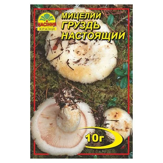 Міцелій Груздь справжній 10 г, Насіння України