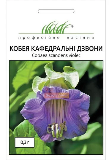 Кобея Кафедральные колокола 0,3 г фиолетовая, Hем Zaden - Фото 2